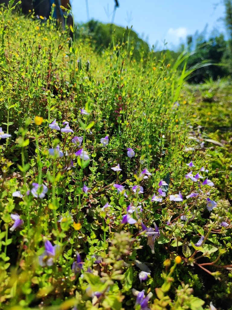 淡蘭北2+1逆走二刷_2772762