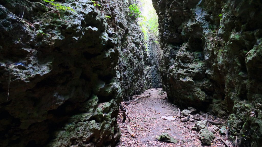 大崗山,盤龍峽谷_2954540