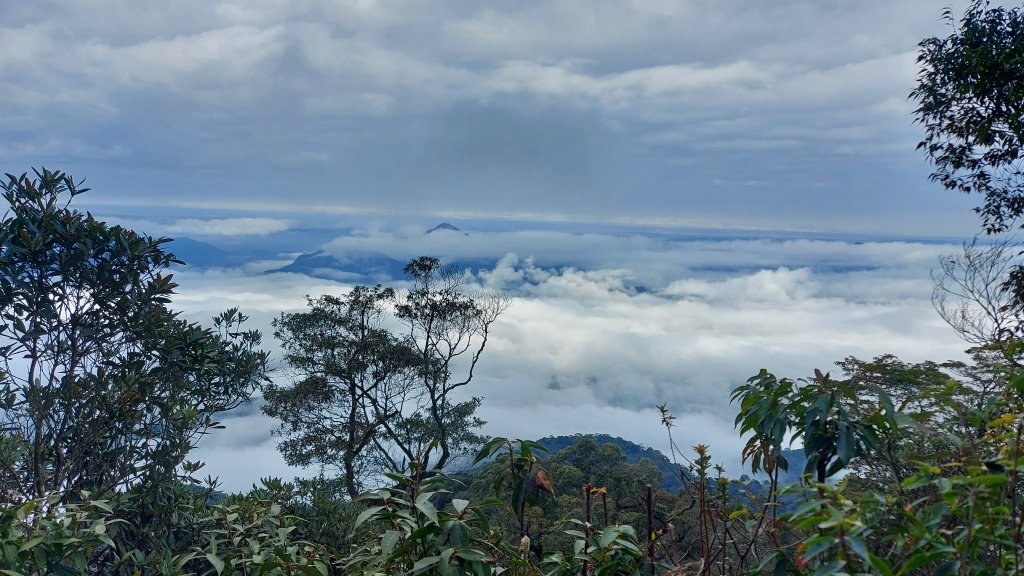 水社大山水社主峰新年二部曲封面圖