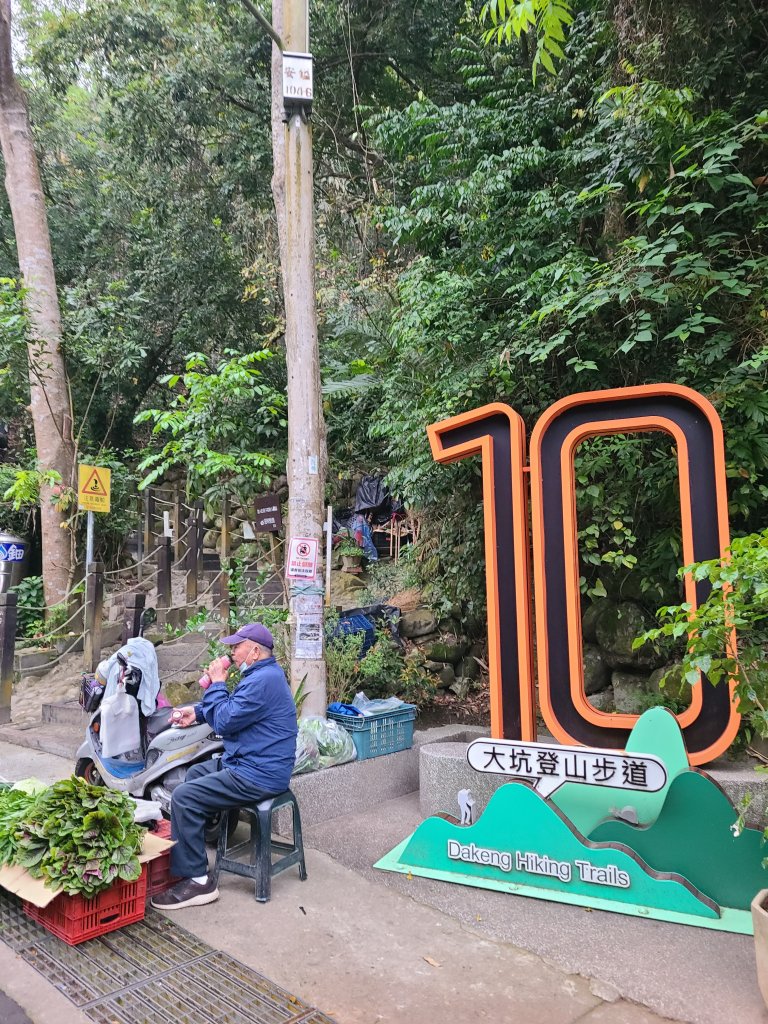 大坑10號提前修好啦(10號上+6號+7號下)封面圖