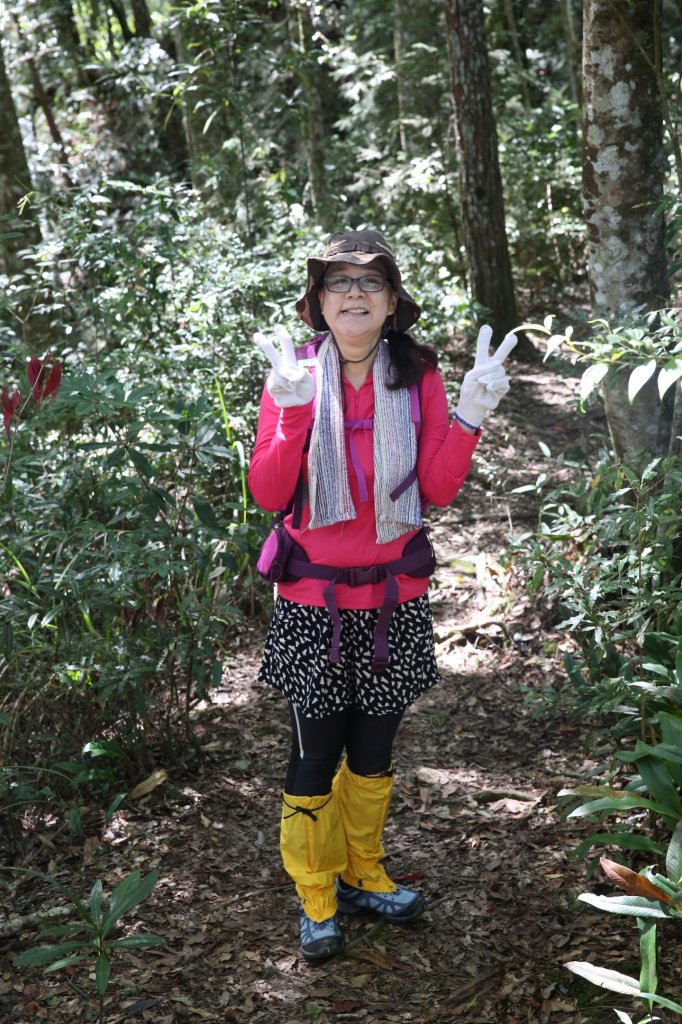 水樣森林 第一次在山裡過夜_658520