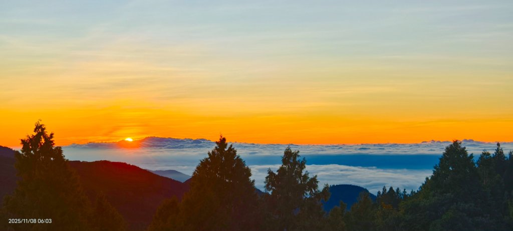 #太平山 #望洋山 #觀雲步道 #日出 #雲海 11/8_2931200