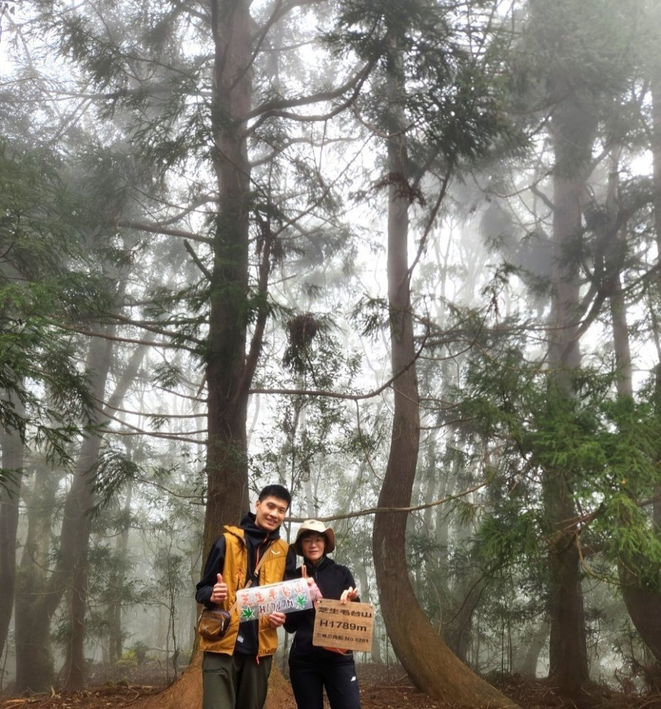 【中級山】芝生毛台山，芝生毛台山西峰，秀巒軍艦岩，屯野生步道，屯野生砲台_2745101