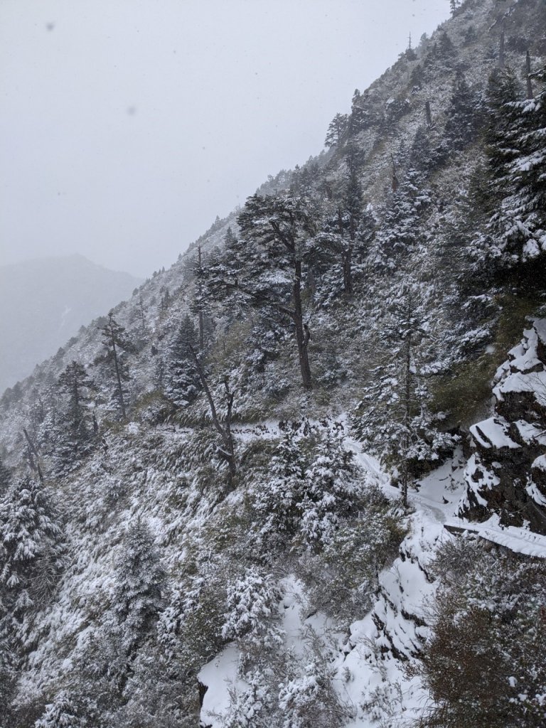 20200128-玉山雪景_818505