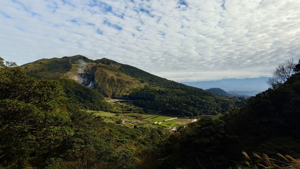 20260125 陽明山前後山健行(無極天元宮~山仔頂步道.向天池.向天山.面天山.二子坪)_2998081