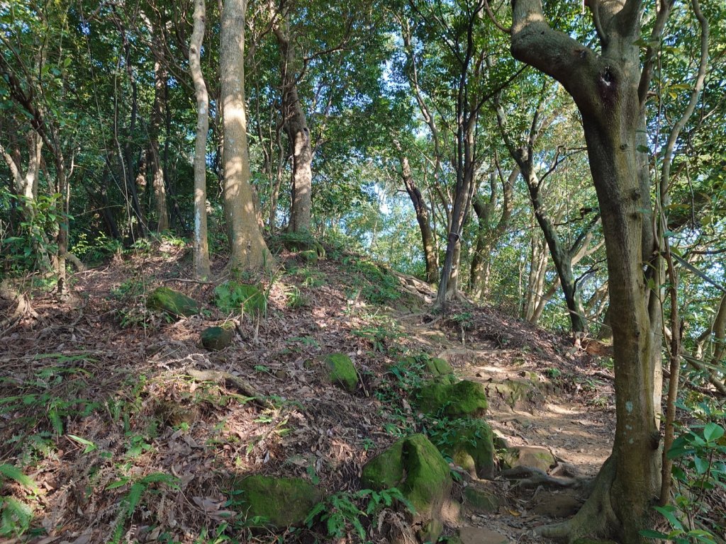 微笑山線之鳶山任務_2855504