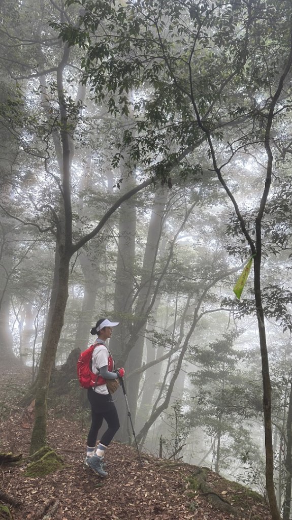 觀雪縱走_2836081