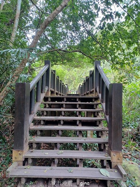 【苗栗南庄】沿途潺潺溪水聲。 蓬萊溪護魚步道_2688914