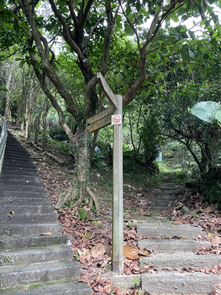 蛇子形古道_2511170