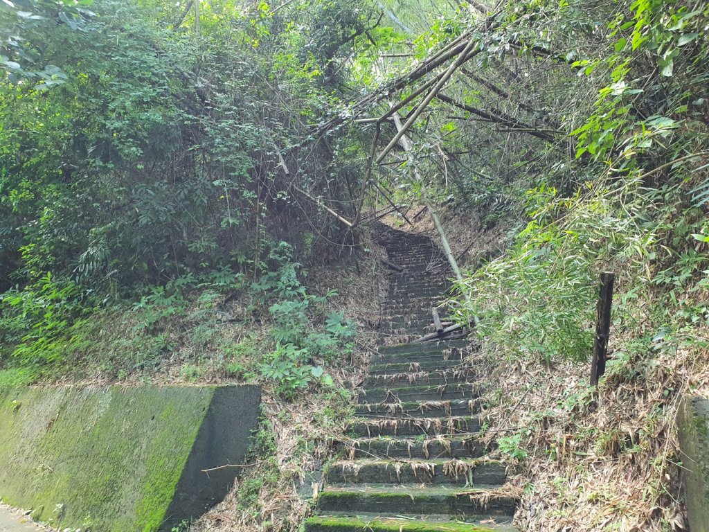 五間登山步道_1452889