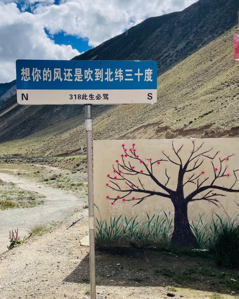 川藏318熱門的卡點-尼瑪-當惹擁措-大地之樹-雅丹地貌聖象天門_2905229