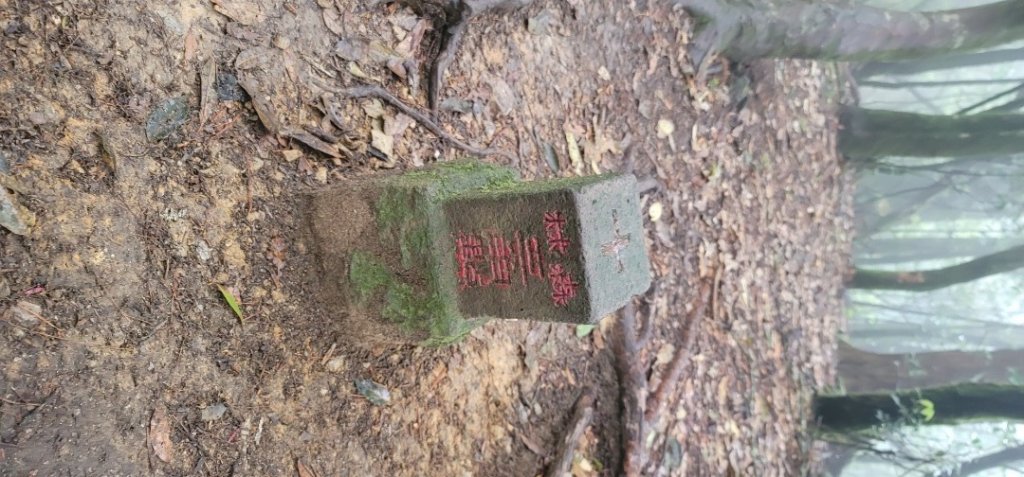 收集小百岳 039 捎來鳶嘴O行走 20220417(一)_1790831