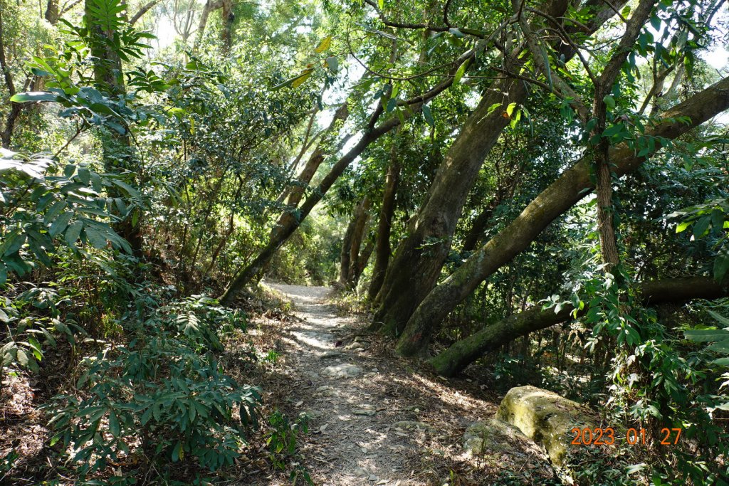 屏東 瑪家鄉 笠頂山_2019587
