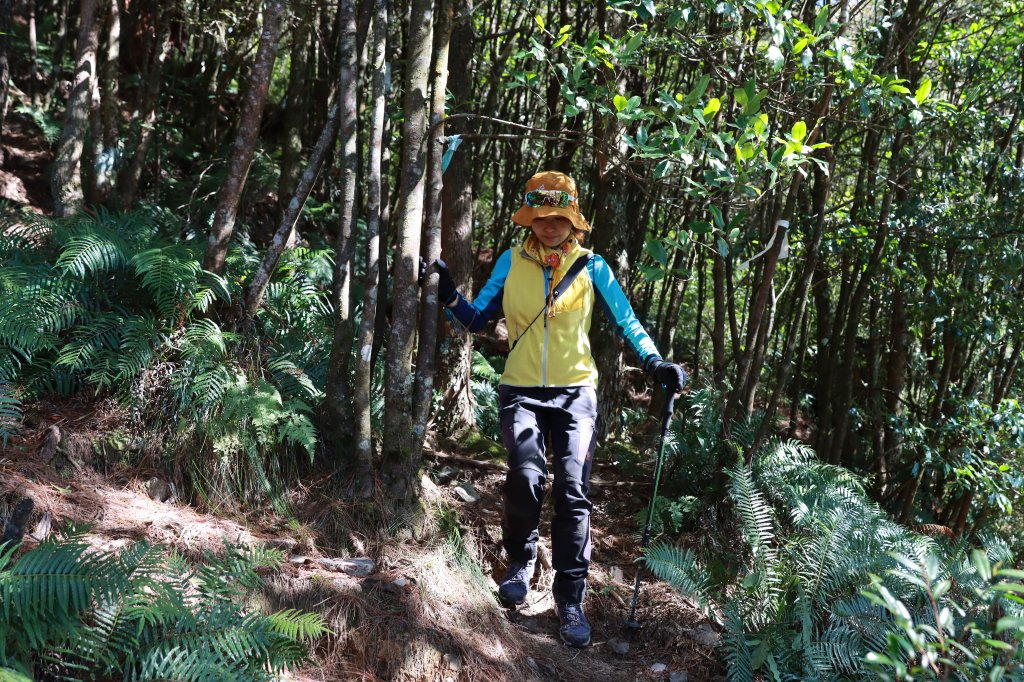 北三錐山耍廢行_2747057