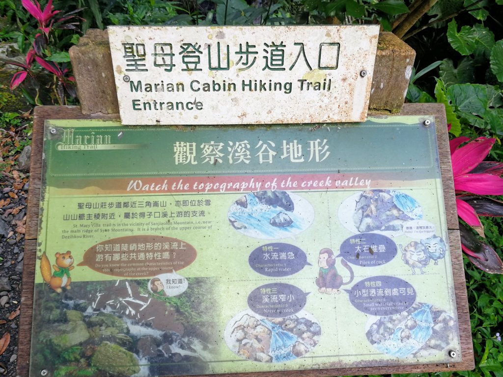 Triangle mountain封面圖