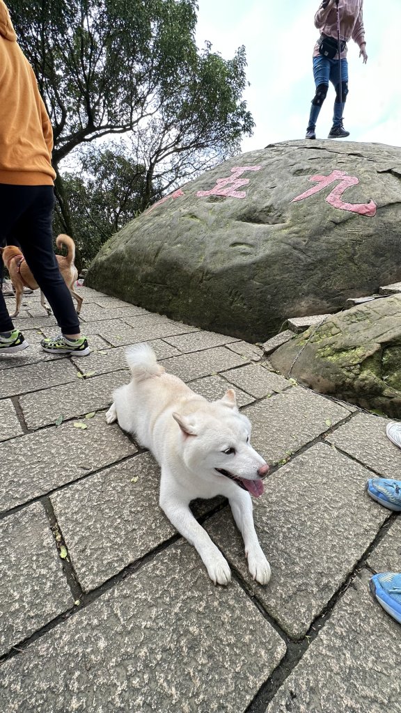 台北縱走第六段之不完整版～ 中華科技大學至和興碳坑_2391208