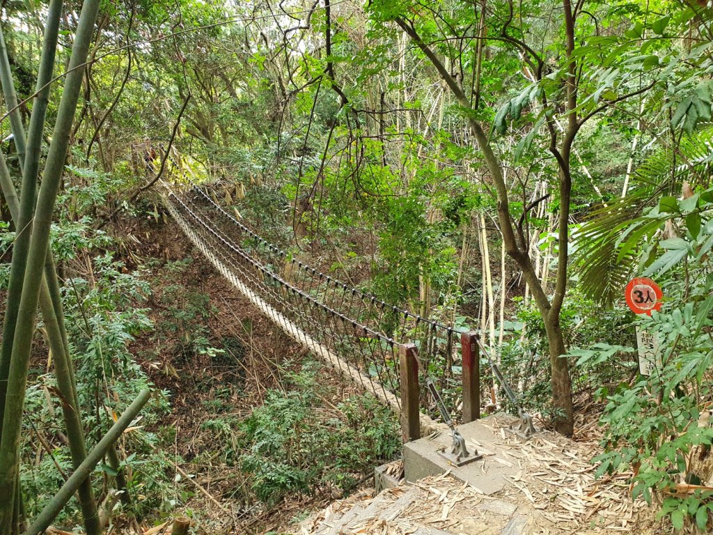 桃源里森林步道封面圖