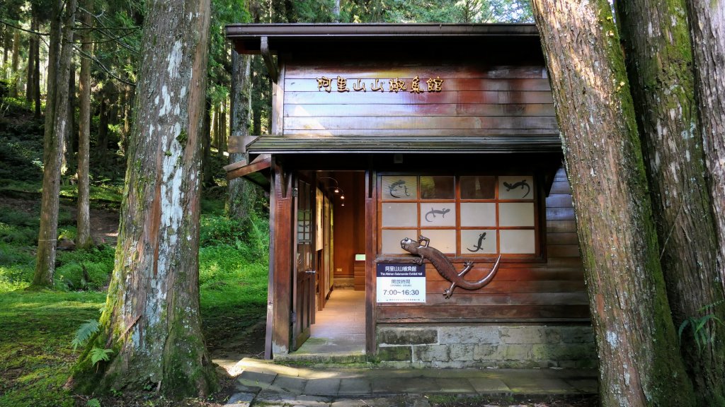 阿里山森遊區-祝山,對高岳步道_2536971