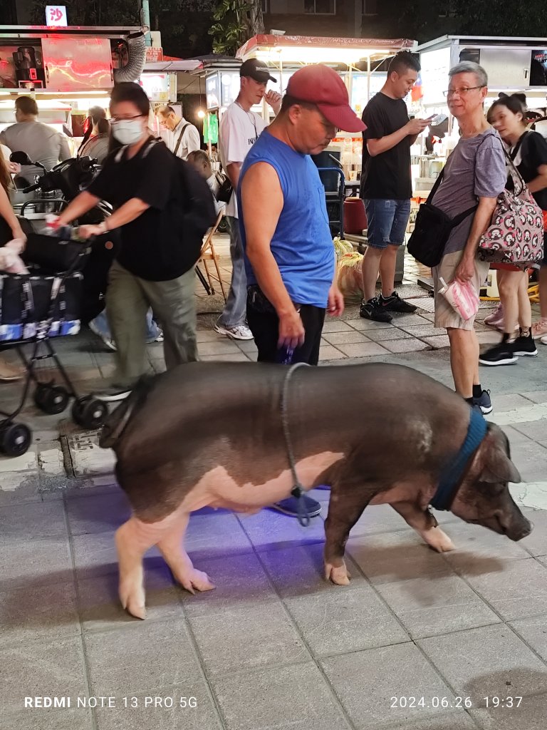 大安森林公園、寧夏夜市、士林夜市【走路趣尋寶】【臺北健走趣】_2536382