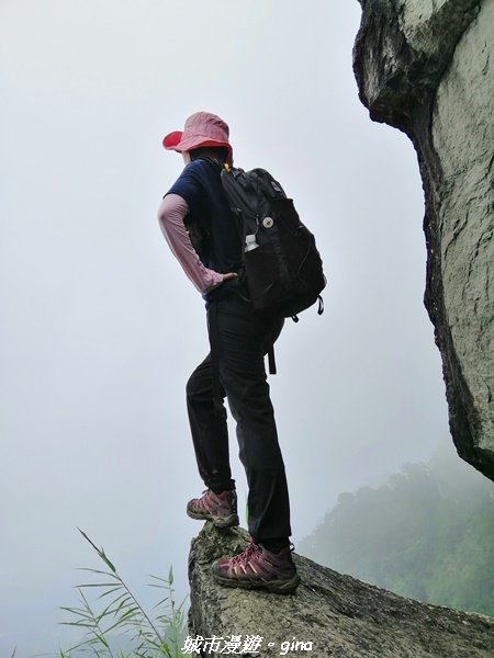【嘉義。大埔】手腳並用之無止盡的攀爬~回憶一次就夠了。 小百岳集起來。編號65小百岳~三腳南山_1485461