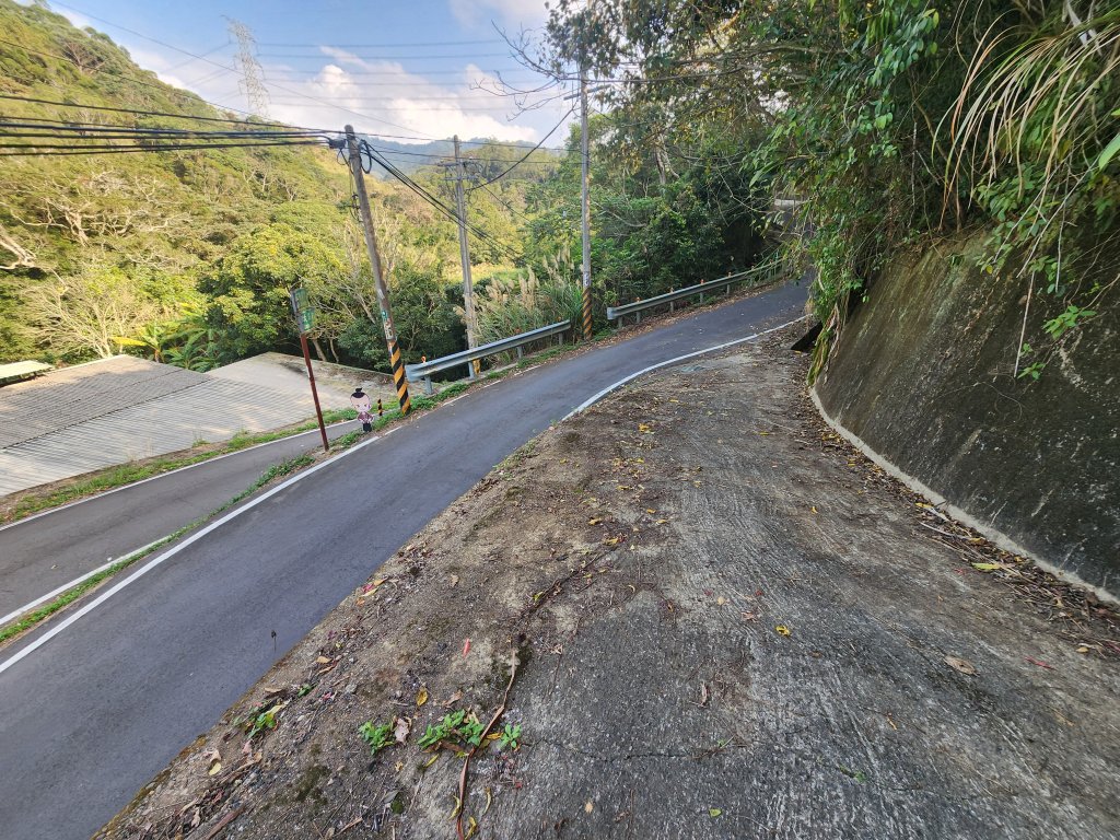 2026022面桶寮山小分林山大分林山_3013047
