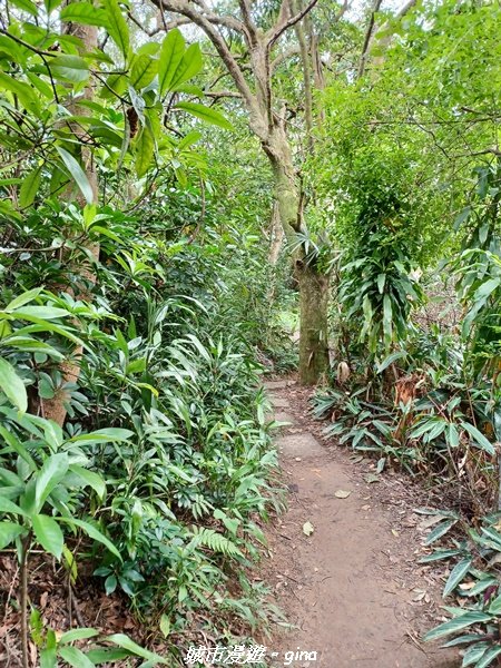 【台北。士林】便捷好親山。 小百岳集起來。 編號9小百岳劍潭山_1587388