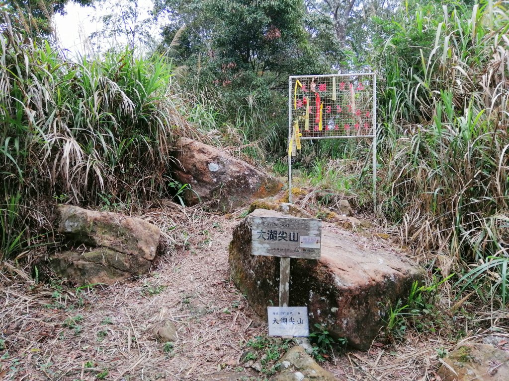 荒草漫漫。 #61小百岳~大湖尖山步道_936884