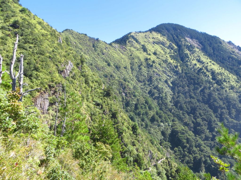 玉山前峰一日遊_221181