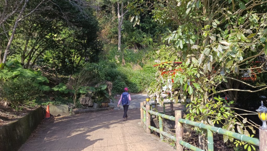 (姨婆趴趴走)第四十六集:新竹關西赤柯山及南峰、東西獅頭山、馬福山環狀縱走_2685728