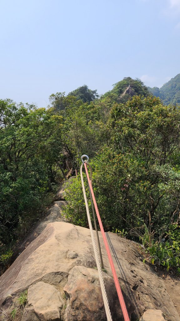 新北三峽-五寮尖、永達煤礦礦坑口遺跡_1415955