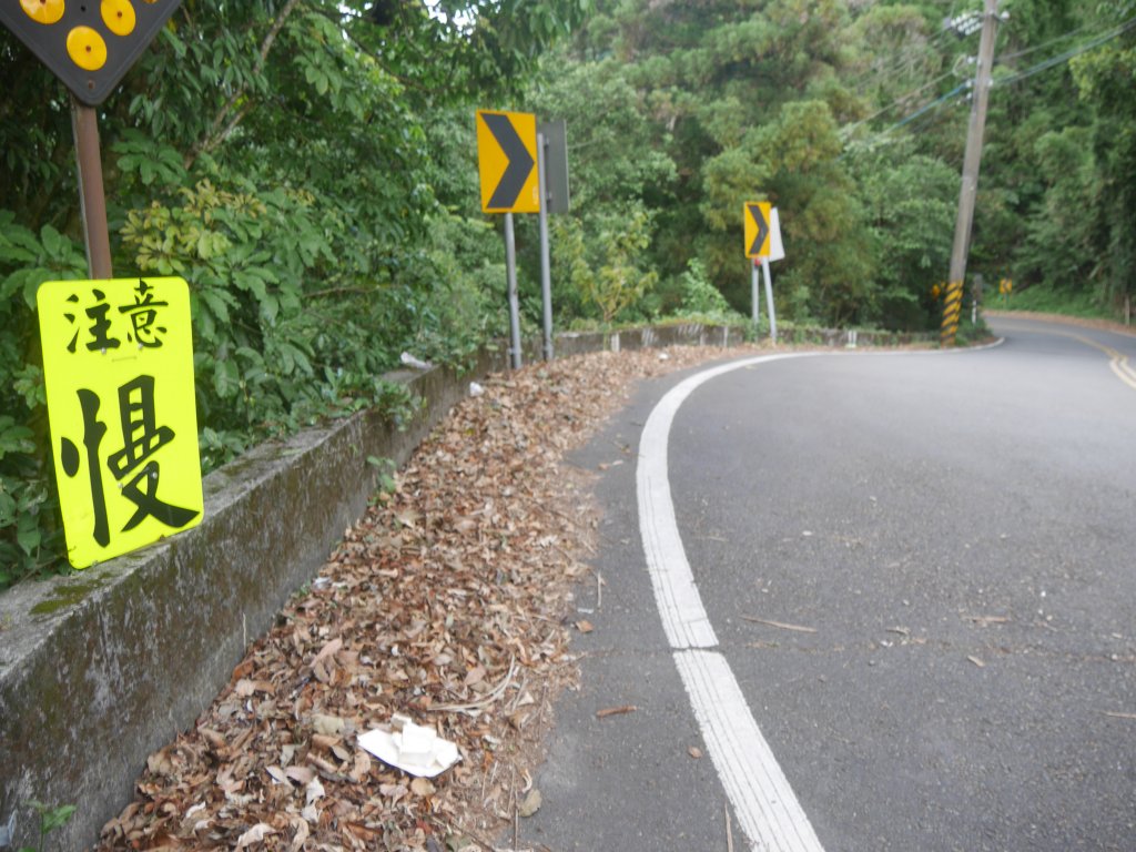 五指山橫向步道_1029428
