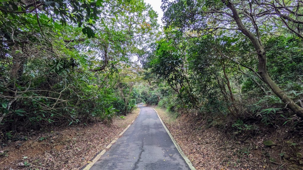 大古山登山步道_2365659