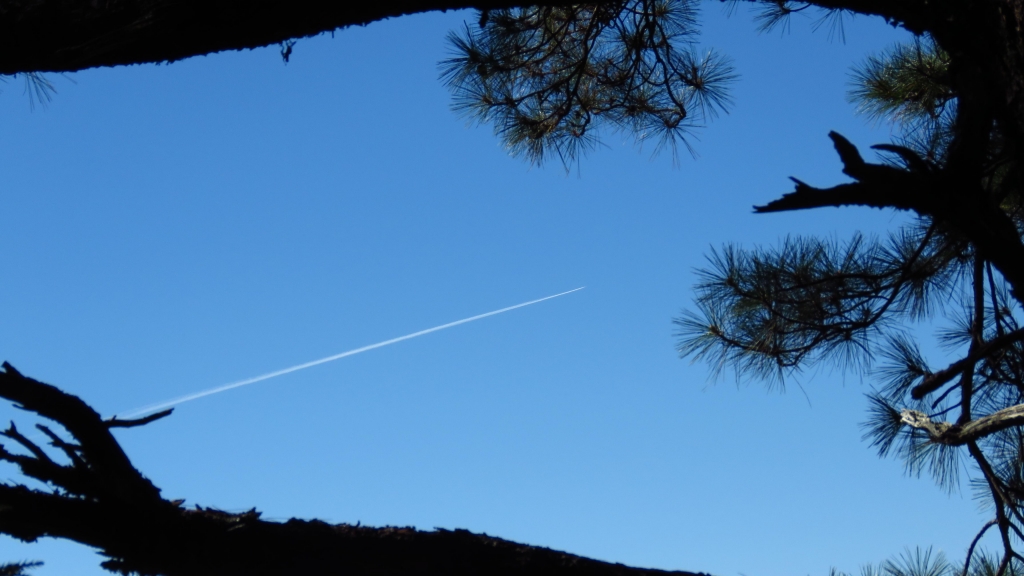 超越自我奇萊南華行_24177