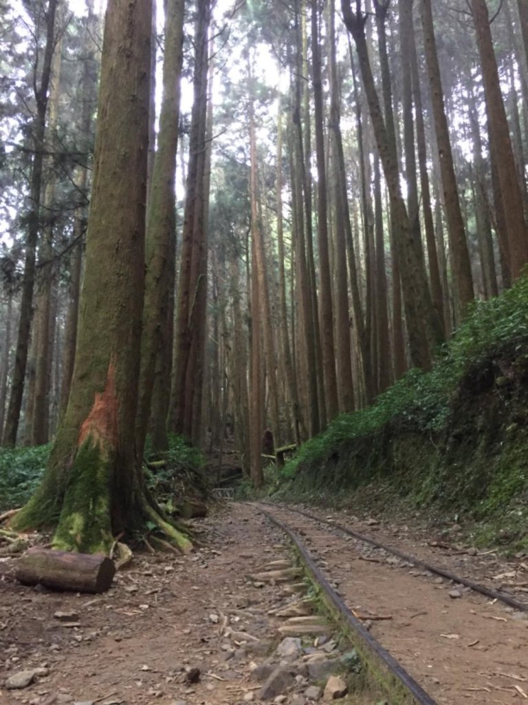 特富野古道_499270