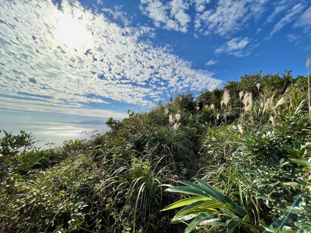 黃金十稜 龍洞稜 和美山登草山_1220914