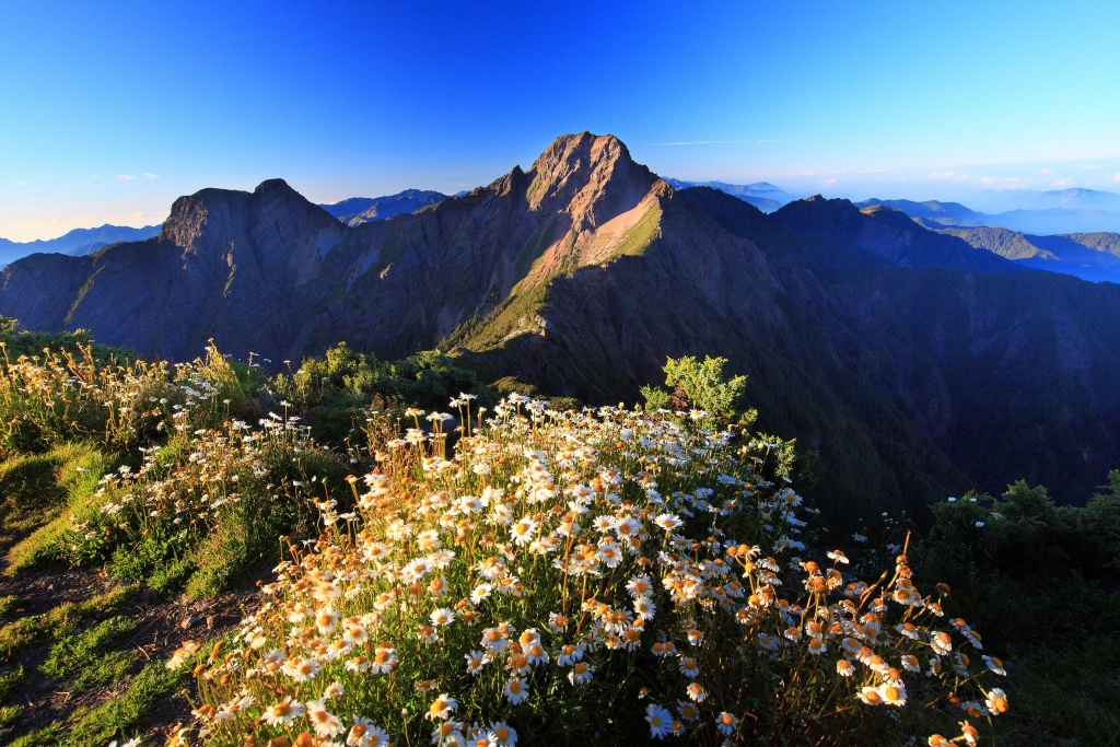 前進玉山北峰封面圖