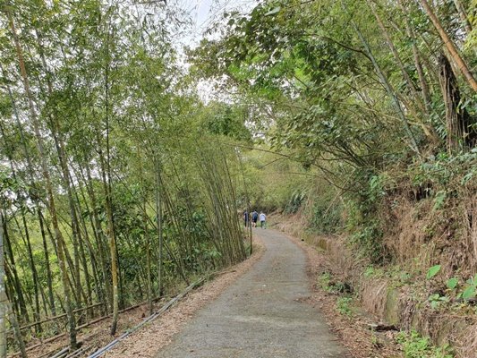 1090405後棟山連走大二尖山_908322