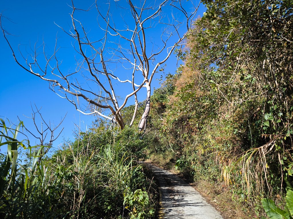 2025-12-21 武界山、獅凸魯山、橫屏山、橫屏山西峰_2969676