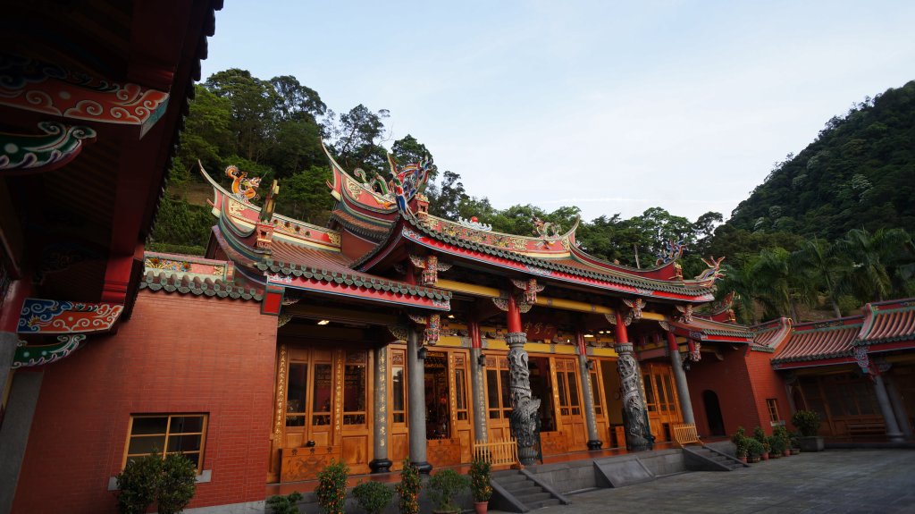 白雞山連走之花_574093