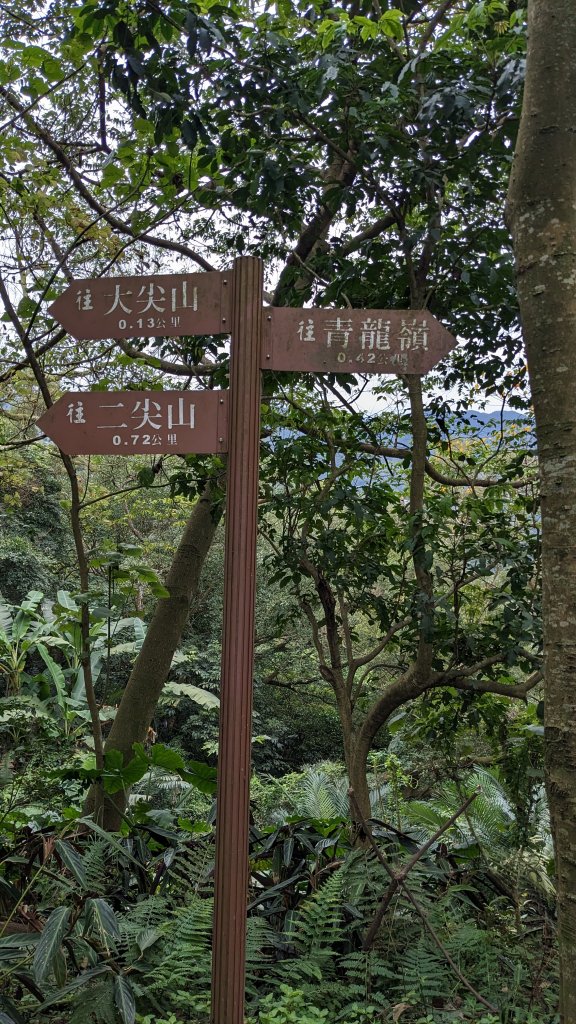 20230124_年初二_新店文筆山_土城清水大尖山_新加坡嶺_青龍嶺_2011192