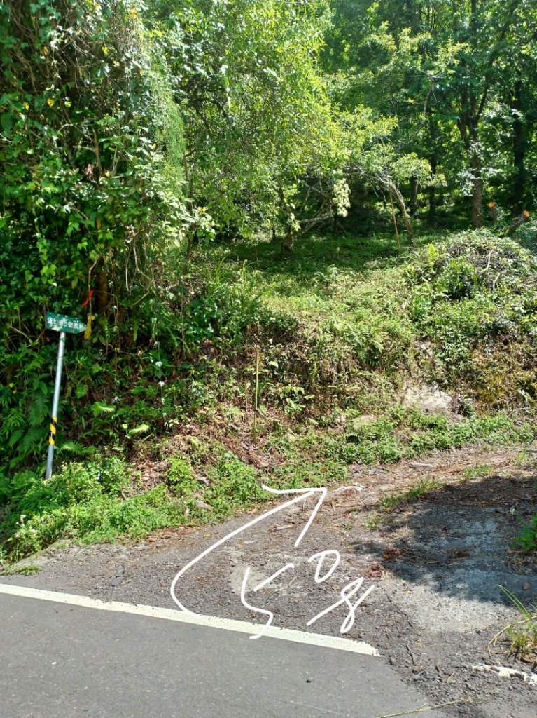 馬馬宇頓山 南橫公路_1035675