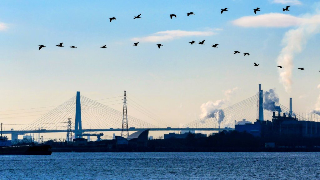 名古屋港邊的時空對白_2982679