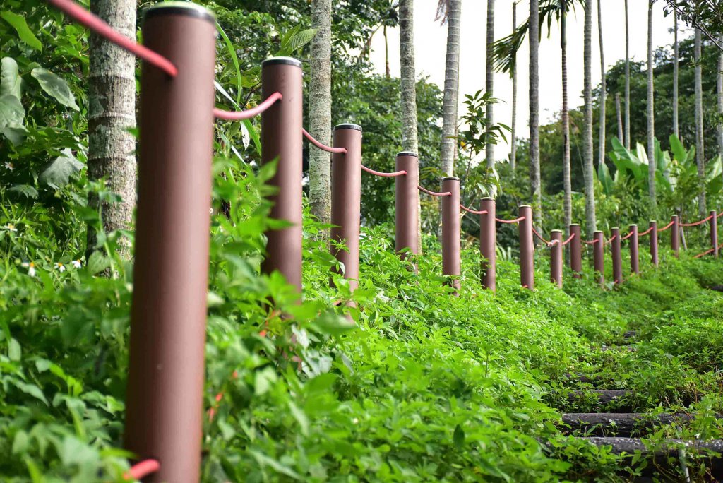 20230730獨立山爬山JRJ淨山_2247228