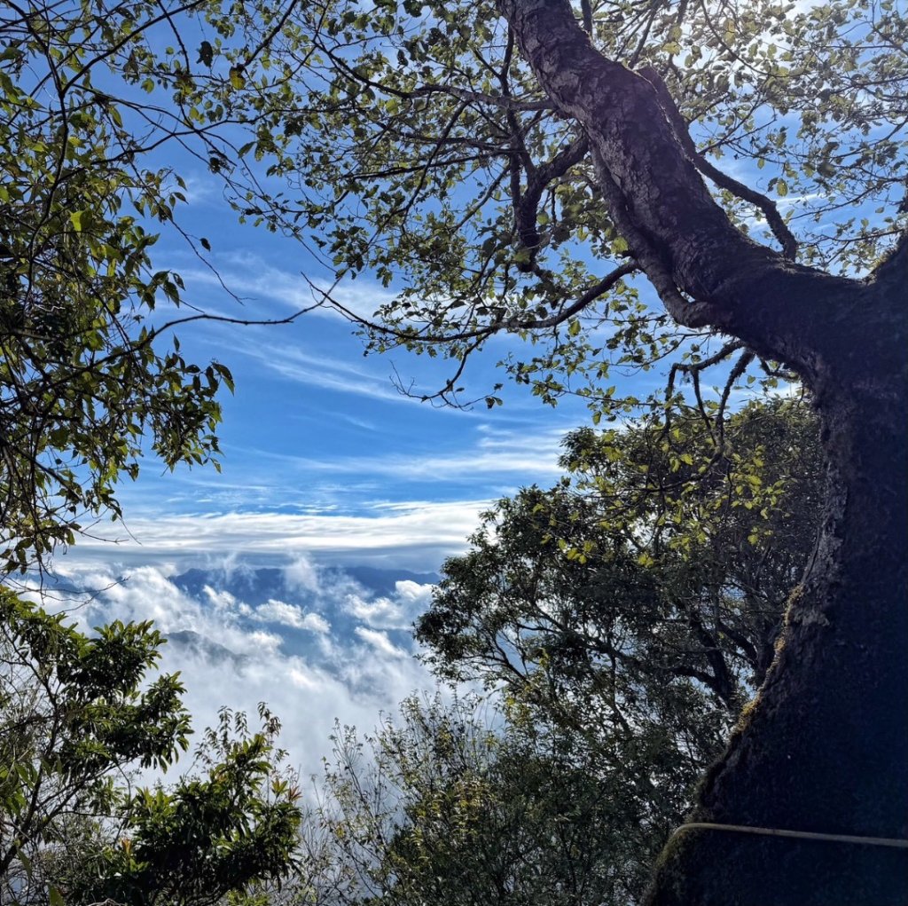 雪霸國家公園 雪見遊憩區 東洗水山_2928549