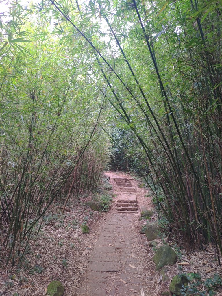 台北大縱走第一段-關渡→二子坪_2007698
