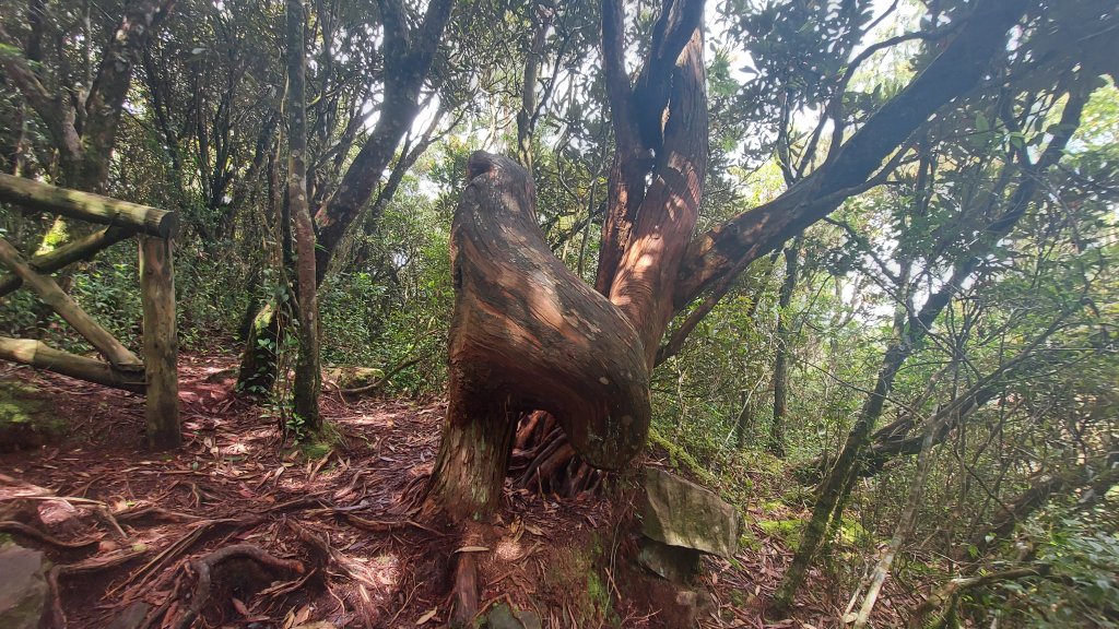 橫嶺山 隧道 主峰 沙蓮山 鳶嘴 8字型_1452194