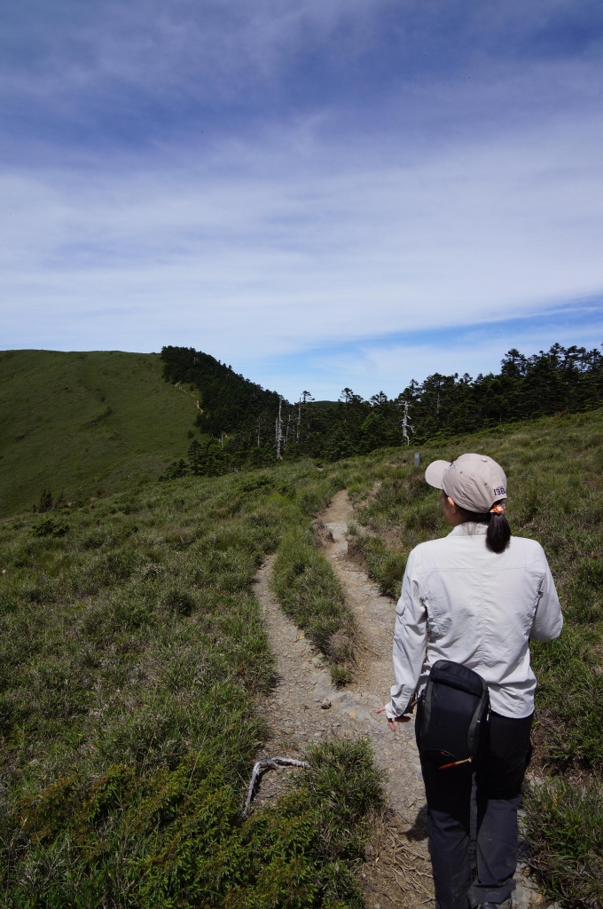 20140705差一點葛屁的合歡北西行_6842