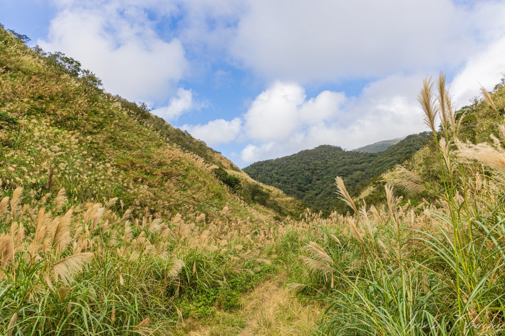 桶後越嶺_2950142