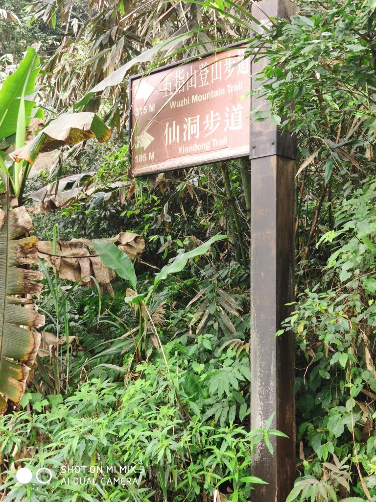 五指山五連峰純路況_530464