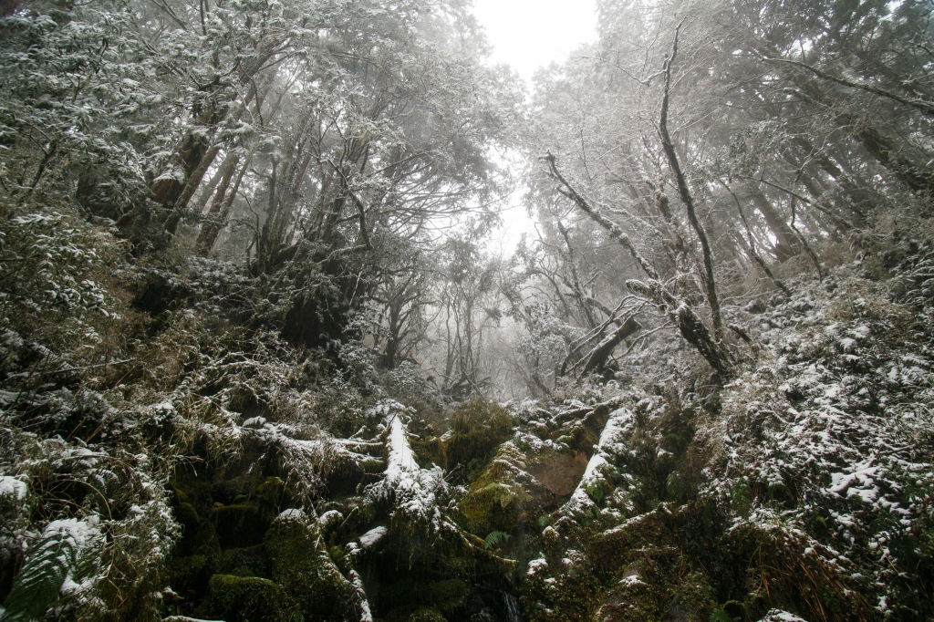 【攝野紀】雪中見晴_264570